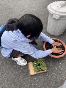 ☆花の植え替えてをしてくれました☆